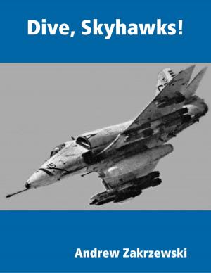 Book cover of Dive, Skyhawks!