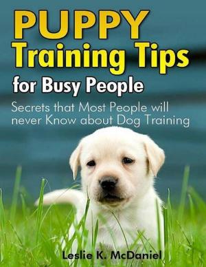 Cover of the book Puppy Training Tips for Busy People: Secrets That Most People Will Never Know About Dog Training by Dr. Liakat Dewji