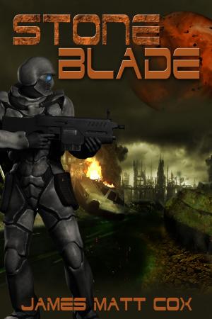 Cover of the book Stone Blade by Bruce A. Borders