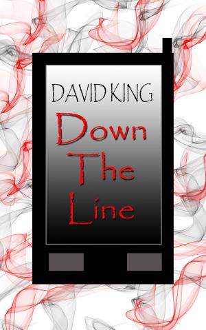 Cover of the book Down The Line by Karen Amanda Hooper