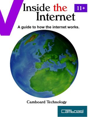 Book cover of Inside the Internet