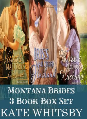 Book cover of Montana Brides: 3 Book Bundle Box Set