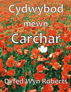 Cover of the book Cydwybod mewn Carchar by Paul Collins