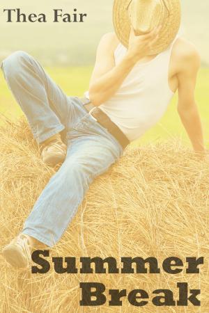 Cover of the book Summer Break by Angelina King