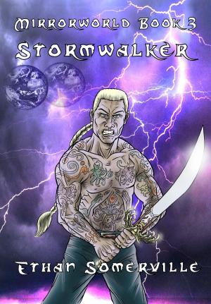 Book cover of Mirrorworld Book 3: Stormwalker