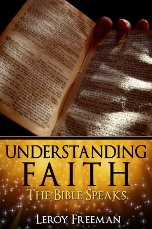 Cover of the book Understanding Faith by Peter Volkofsky