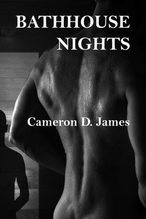 Cover of the book Bathhouse Nights by Cameron D. James
