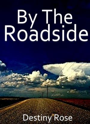 Cover of the book By The Roadside by Lydie Blaizot