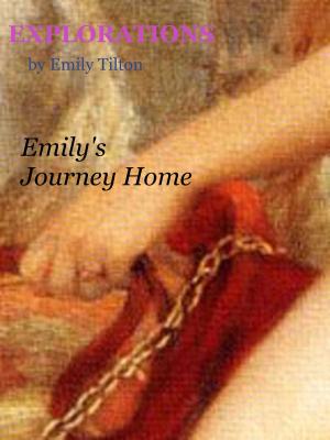 Book cover of Explorations: Emily's Journey Home