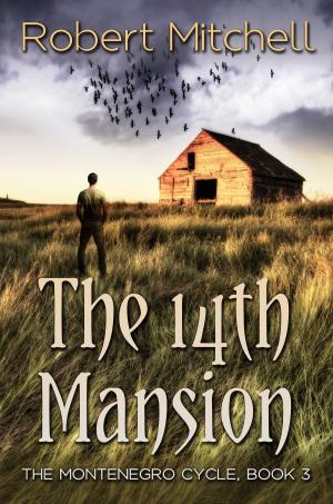 Cover of the book The 14th Mansion by B.A. Stretke