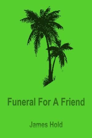 Cover of the book Funeral For A Friend by James Hold