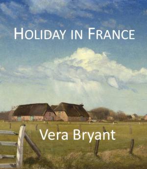 Cover of the book Holiday in France by Benjamin Salmon