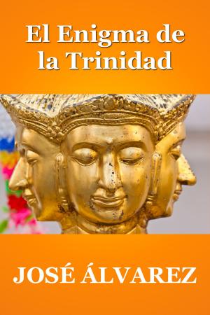 Cover of the book El Enigma de la Trinidad by Robert Burney