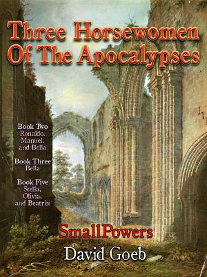 Cover of the book SmallPowers: Three Horsewomen of The Apocalypses by Martin Rouillard