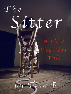 Cover of the book The Sitter by Tim Tash