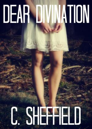 Cover of the book Dear Divination by Jamie Wyman
