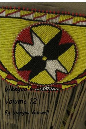 Book cover of Weeyaa's Designs Volume 12