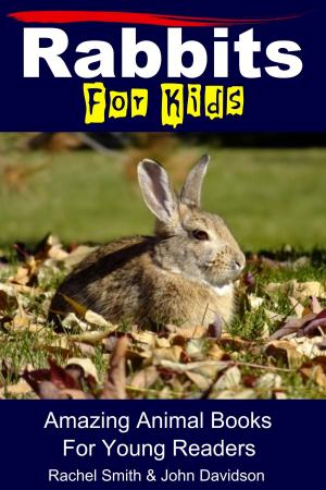 Book cover of Rabbits For Kids: Amazing Animal Books For Young Readers
