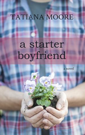Book cover of A Starter Boyfriend: A Novel