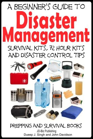 bigCover of the book A Beginner’s Guide to Disaster Management by 