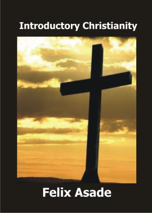 Book cover of Introductory Christianity