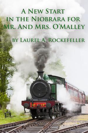 Book cover of A New Start in the Niobrara for Mr. and Mrs. O'Malley