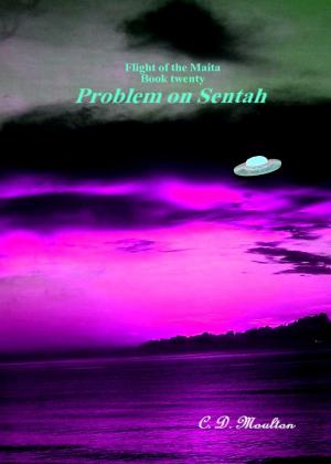 Book cover of Flight of the Maita Book Twenty: Problem on Sentah