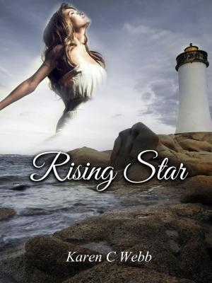 Cover of the book Rising Star by Diana Palmer