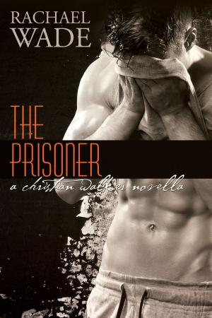 Cover of the book The Prisoner (The Replacement, 1.5) by Martina Boone