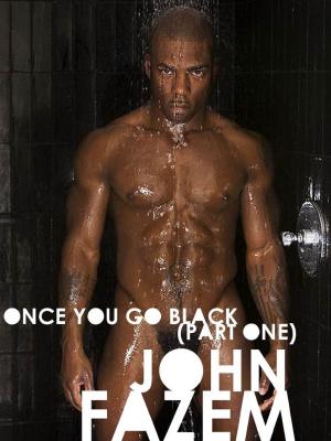Cover of the book Once You Go Black by K.B. Stevens