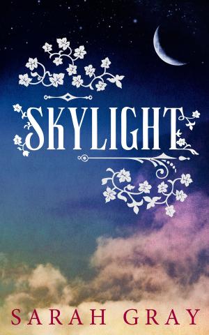 Book cover of Skylight (Arcadium, #2)