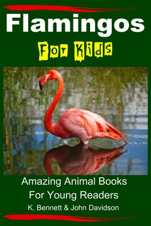 Book cover of Flamingos For Kids: Amazing Animal Books For Young Readers