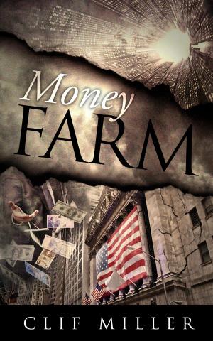 Cover of the book Money Farm by Martha Fumunjere