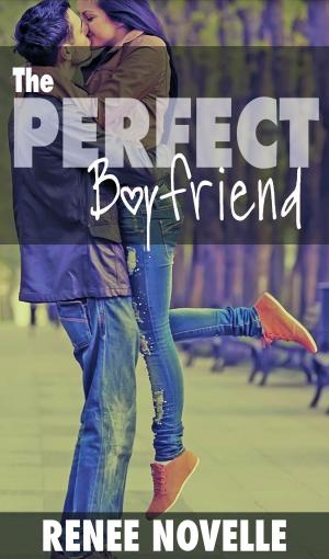 Book cover of The Perfect Boyfriend