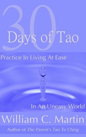Cover of the book 30 Days of Tao: Practice in Living at Ease in an Uneasy World by Adam Fenner