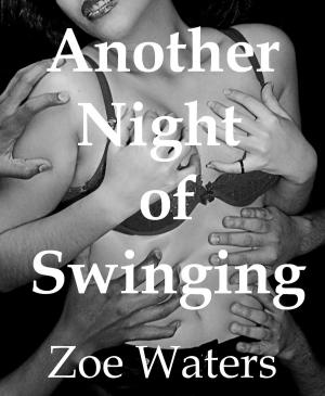 Book cover of Another Night of Swinging