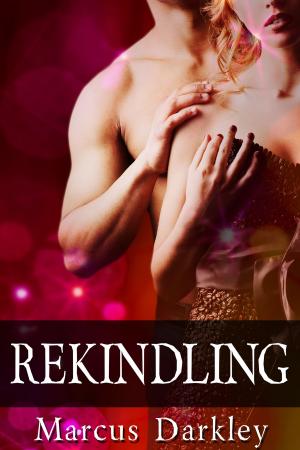 Cover of the book Rekindling by CJ Edwards