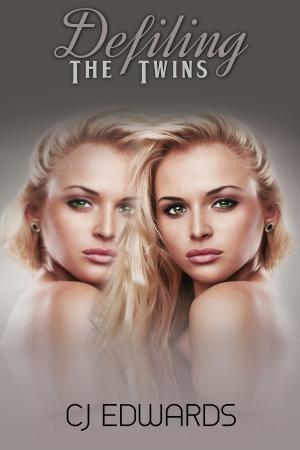 Cover of the book Defiling the Twins by C J Edwards