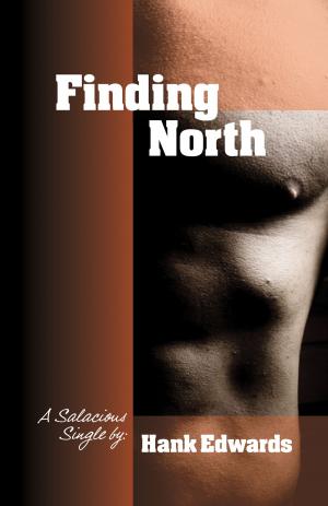 Book cover of Finding North