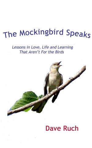 Cover of the book The Mockingbird Speaks by Dr. Jesse Garcia