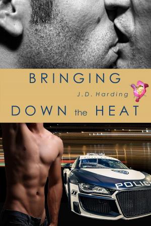 Cover of the book Bringing Down the Heat by J. Thomas Beaton