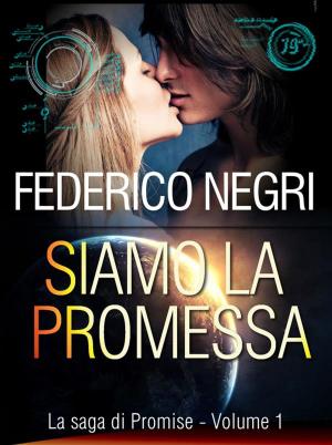 Cover of the book Siamo la promessa by S.E. Page