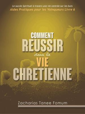 bigCover of the book Comment Reussir Dans La Vie Chretienne by 