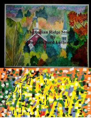 Book cover of The Indian Ridge Stories