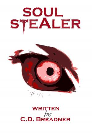 Book cover of Soul Stealer: Sin Eater Series Book 2