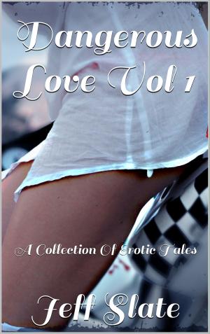 Book cover of Dangerous Love Vol 1