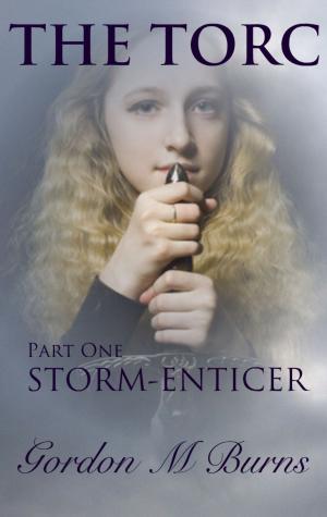 Cover of the book The Torc Part One Storm-enticer by Vicki Williams