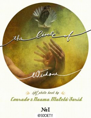 Book cover of The Circle of Wisdom