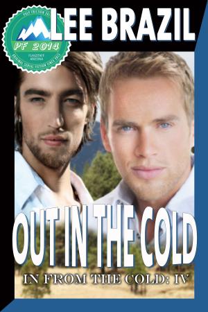 Cover of the book Out in the Cold by AJ Dixon