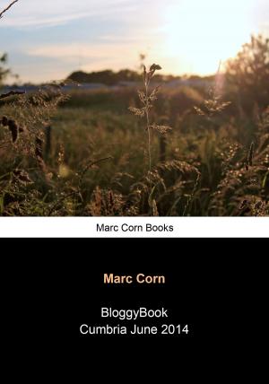 Cover of the book BloggyBook Cumbria June 2014 by Marc Corn